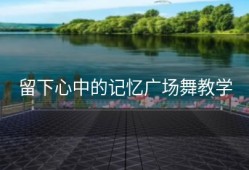 留下心中的记忆广场舞教学