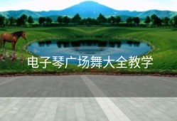 电子琴广场舞大全教学