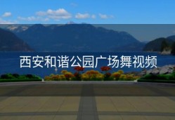 西安和谐公园广场舞视频