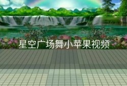 星空广场舞小苹果视频