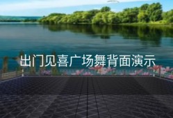 出门见喜广场舞背面演示