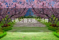 天籁之音天路广场舞