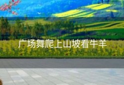 广场舞爬上山坡看牛羊