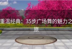 重温经典：35步广场舞的魅力之旅
