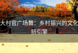 大村官广场舞：乡村振兴的文化新引擎