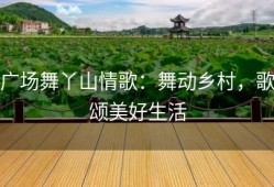 广场舞丫山情歌：舞动乡村，歌颂美好生活
