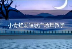 小青蛙爱唱歌广场舞教学