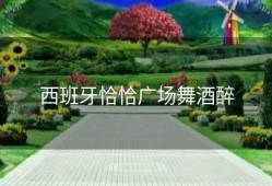 西班牙恰恰广场舞酒醉