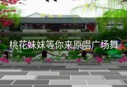 桃花妹妹等你来原唱广场舞