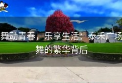 舞动青春，乐享生活：泰禾广场舞的繁华背后