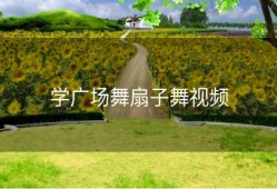 学广场舞扇子舞视频