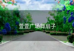 萱萱广场舞扇子