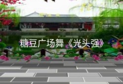 糖豆广场舞《光头强》