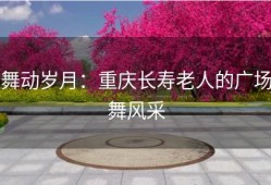 舞动岁月：重庆长寿老人的广场舞风采