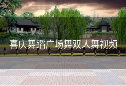 喜庆舞蹈广场舞双人舞视频