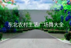 东北农村生活广场舞大全