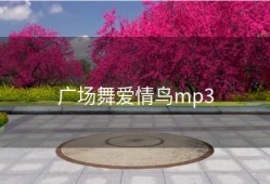 广场舞爱情鸟mp3