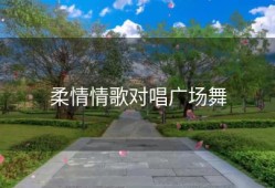 柔情情歌对唱广场舞