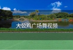 大公鸡广场舞视频