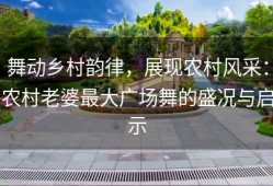 舞动乡村韵律，展现农村风采：农村老婆最大广场舞的盛况与启示