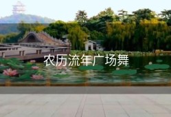 农历流年广场舞