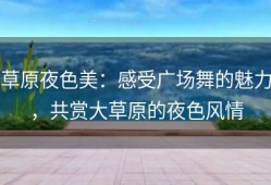 草原夜色美：感受广场舞的魅力，共赏大草原的夜色风情