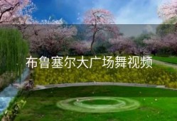 布鲁塞尔大广场舞视频