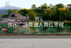 休闲广场舞双人舞红枣树