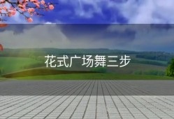 花式广场舞三步