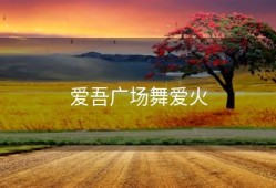 爱吾广场舞爱火