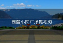 西藏小区广场舞视频