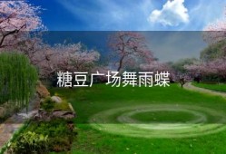 糖豆广场舞雨蝶