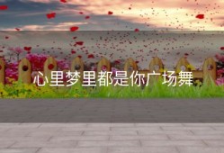 心里梦里都是你广场舞