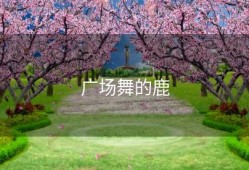 广场舞的鹿