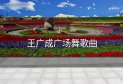 王广成广场舞歌曲