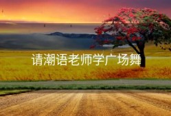 请潮语老师学广场舞