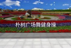 朴树广场舞健身操