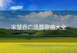 宋慧乔广场舞歌曲大全
