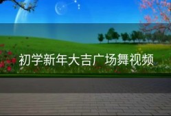 初学新年大吉广场舞视频