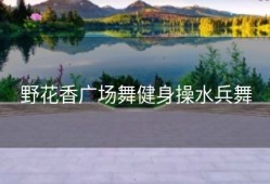 野花香广场舞健身操水兵舞