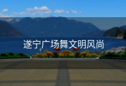 遂宁广场舞文明风尚