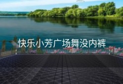 快乐小芳广场舞没内裤