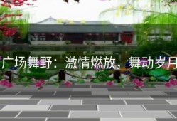 广场舞野：激情燃放，舞动岁月