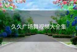 久久广场舞视频大全集