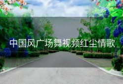 中国风广场舞视频红尘情歌