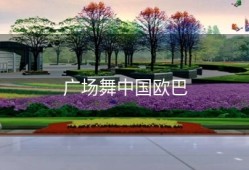 广场舞中国欧巴