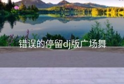 错误的停留dj版广场舞