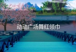动动广场舞红领巾