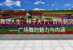 舞动人生：林子大了，百鸟朝凤——广场舞的魅力与内涵
