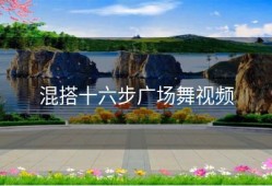 混搭十六步广场舞视频